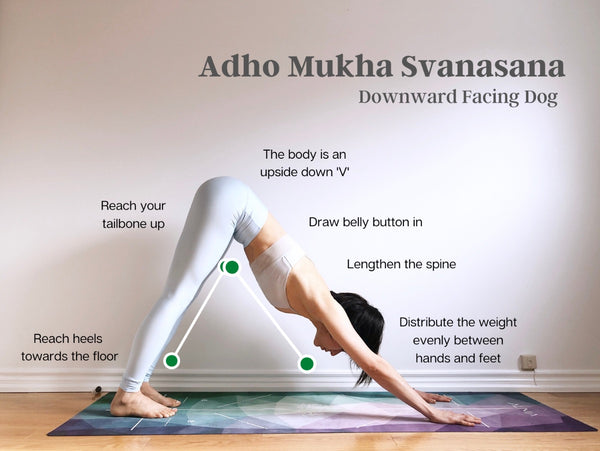 How to do Downward-Facing Dog - Adho Mukha Svanasana
